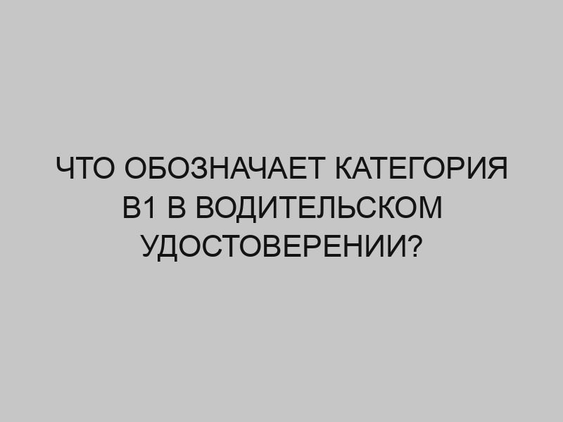 chto oboznachaet kategoriya v1 v voditelskom udostoverenii 3395
