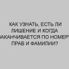 kak uznat est li lishenie i kogda zakanchivaetsya po nomeru prav i familii 3337