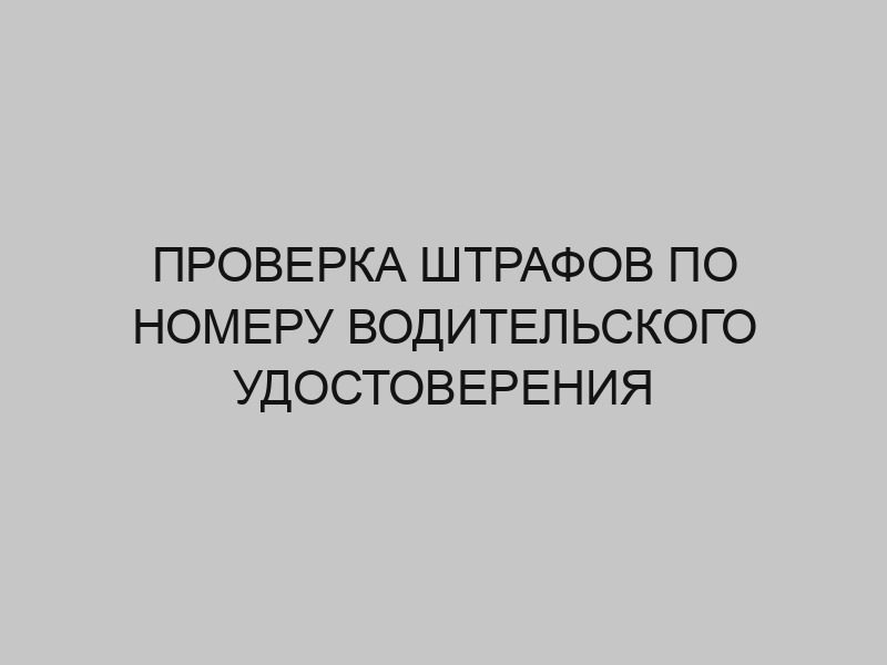 proverka shtrafov po nomeru voditelskogo udostovereniya 3452