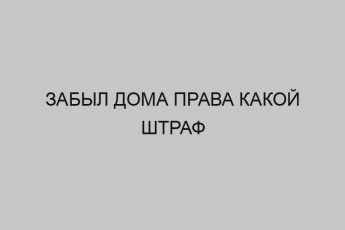 zabyl doma prava kakoy shtraf 3162